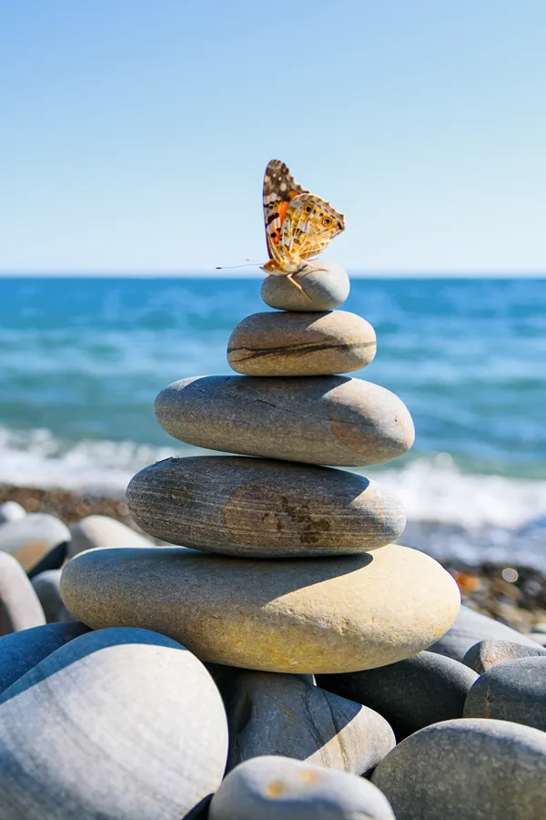 NAC-Vitamin-Injection-Treatment A butterfly atop a stack of stones. Get NAC Vitamin Injection treatment from Christine Collins, MD in Westside/Beverly Hills.